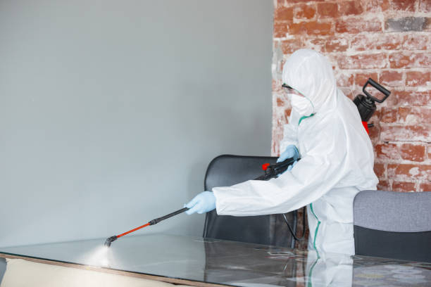 Mold Remediation for Rental Properties in Laurinburg, NC